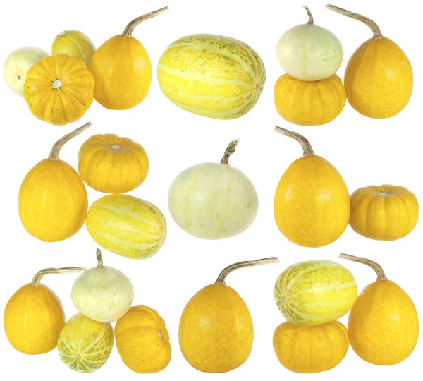 Farklı renkli pumpkins, üzerinde beyaz izole ile kolaj — Stok fotoğraf