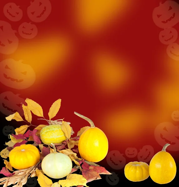 Citrouilles orange avec des feuilles sèches pour la décoration d'Halloween — Photo