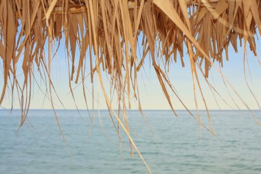 View over the sea through a dry leaves clipart