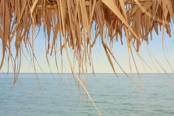 stock image View over the sea through a dry leaves