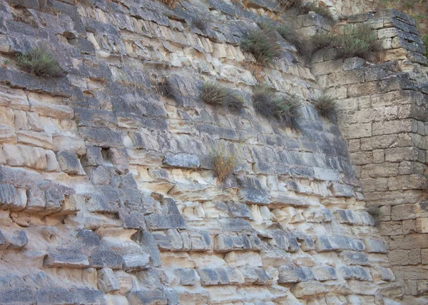 Vista grandangolare di una vecchia parete — Foto Stock