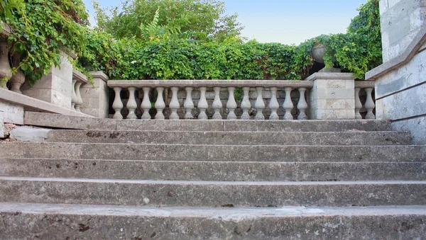 Древние лестницы и колонны с плющом — стоковое фото