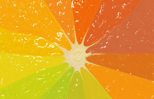 stock image Orange slice in different colors, background