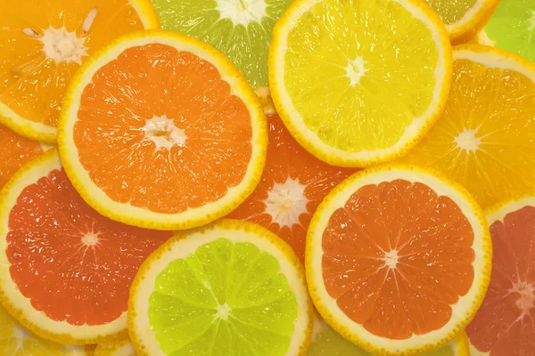 Stock image Sliced citrus fruits in different colors, background