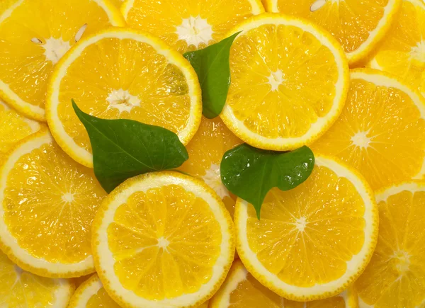 Slices of citrus fruit, background — Stock Photo, Image