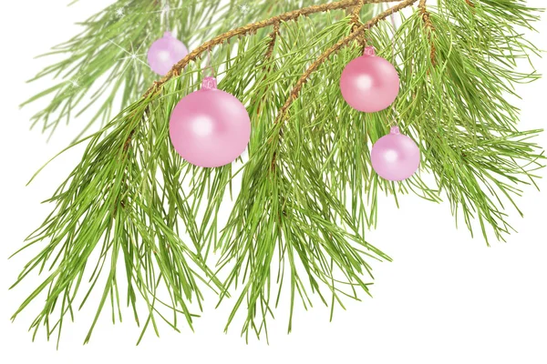 Bolas decorativas en rama de pino, aisladas en blanco —  Fotos de Stock