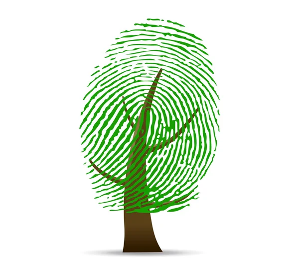 Fingerprint tree — Stock Photo, Image