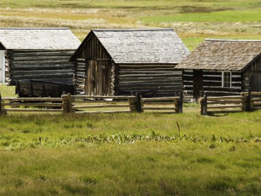 Rustic log cabin on the farm clipart