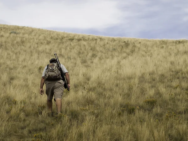 stock image Hunting