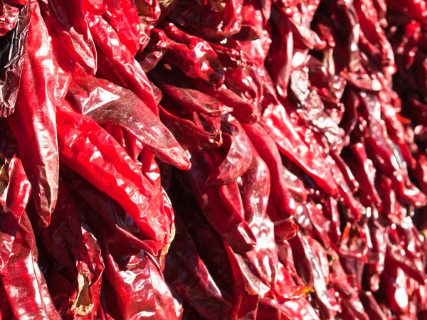 stock image Chili pepper