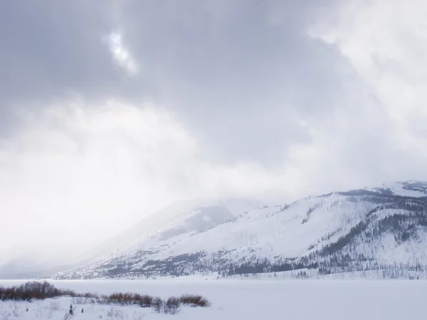 Winter Wonderland — Stockfoto