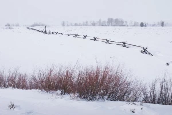 Winter wonderland — Stock Photo, Image