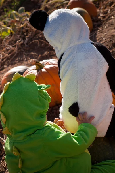 Küçük çocuklar Cadılar Bayramı kostümleri — Stok fotoğraf