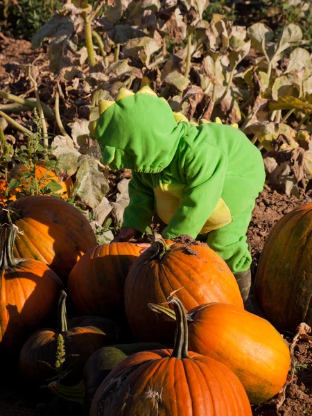 Småbarn i halloween-kostym — Stockfoto