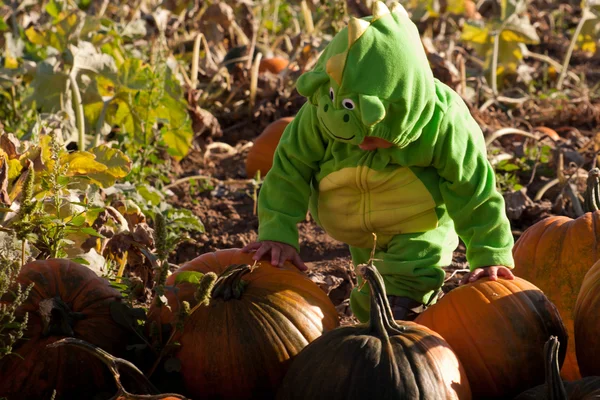 Kleinkind im Halloween-Kostüm — Stockfoto