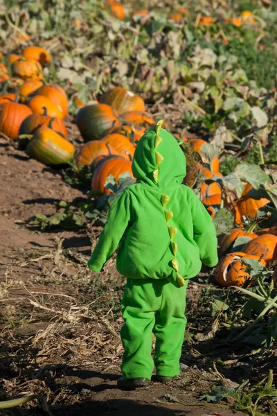 Småbarn i halloween-kostym — Stockfoto