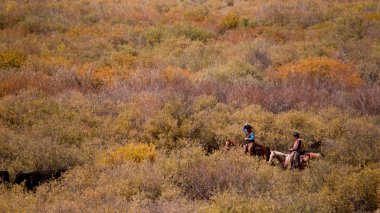 Cattle Drive clipart