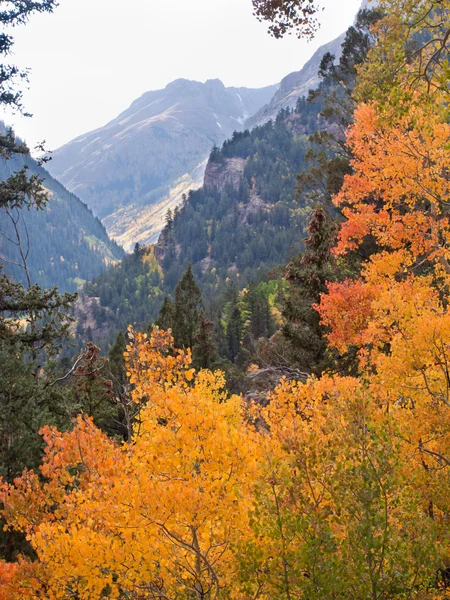 stock image Autumn