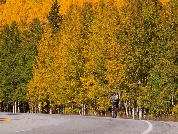 Bicicleta em Árvores Outono Aspen — Fotografia de Stock
