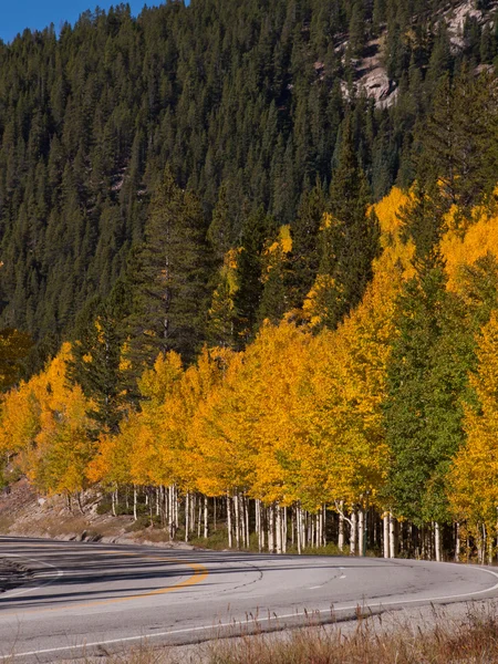 道路上の秋 — ストック写真