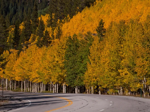 Podzim na silnici — Stock fotografie