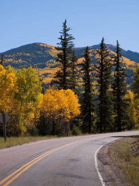 Autumn on the road — Stock Photo, Image