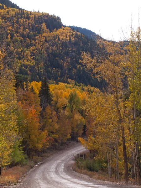 stock image Autumn