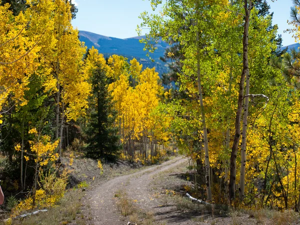 stock image Autumn