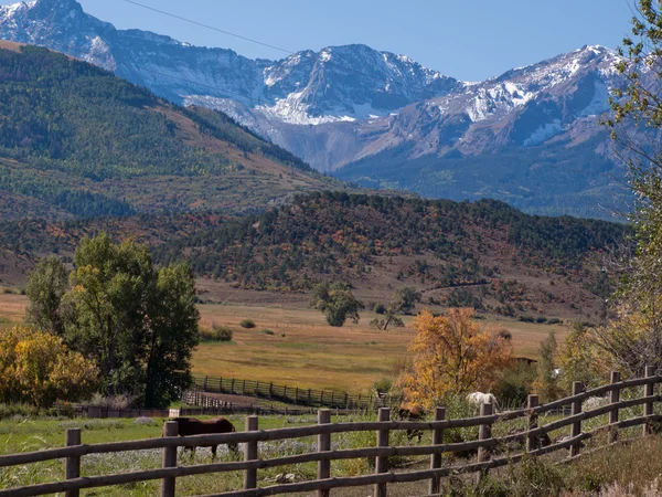 Herbst auf der Ranch — Stockfoto