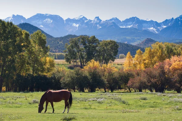 Autumn on the Ranch — Stock Photo, Image