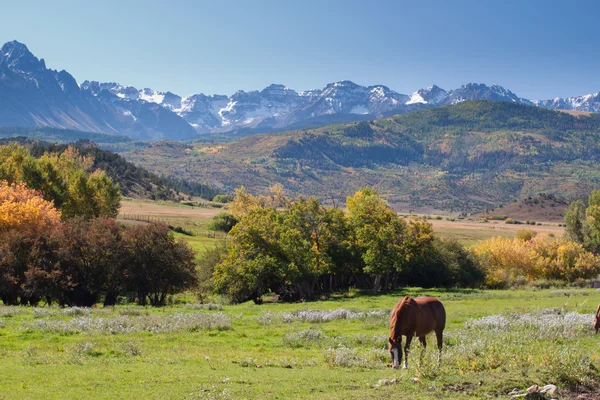 Efterår på ranchen - Stock-foto