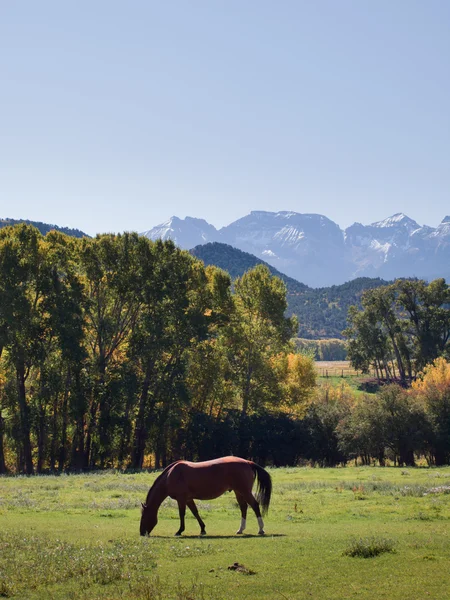 Herfst op de ranch — Stockfoto