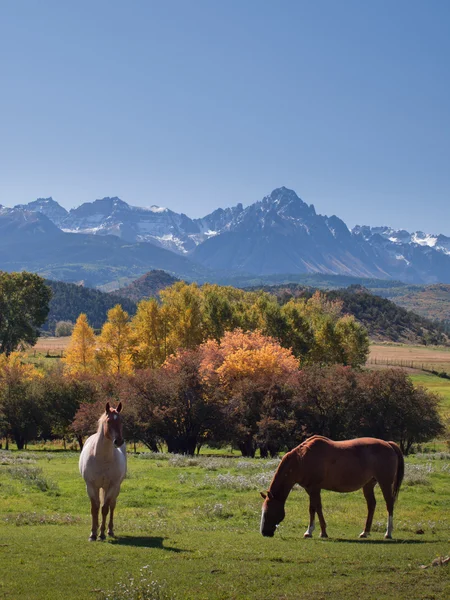 Осінь на ранчо — стокове фото