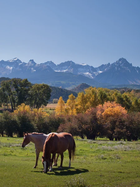 Otoño en el rancho — Foto de Stock