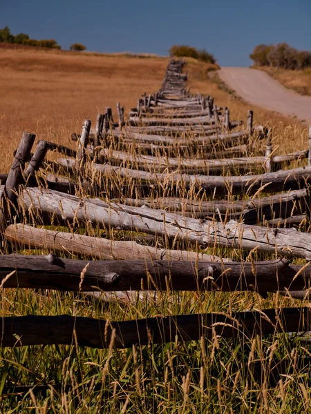 Split demiryolu çiti — Stok fotoğraf