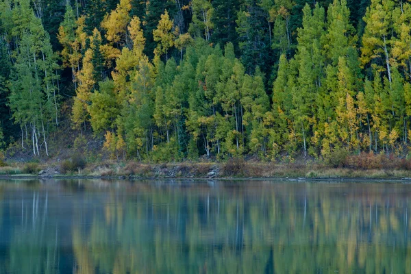 stock image Autumn Lake