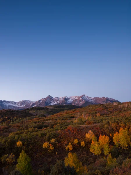 秋のダラスの分割 — ストック写真