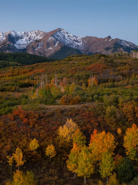秋のダラスの分割 — ストック写真