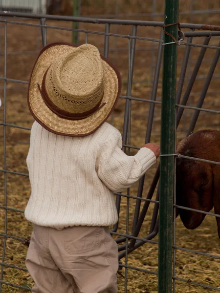 Μικρό παιδί στο αγρόκτημα — Φωτογραφία Αρχείου
