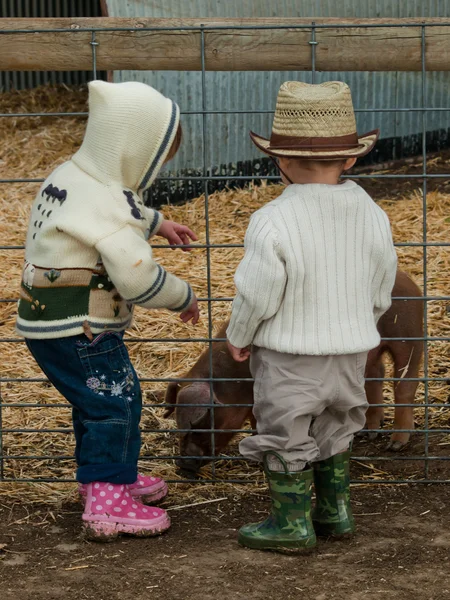 Toddlers on the Farm — Stock Photo, Image