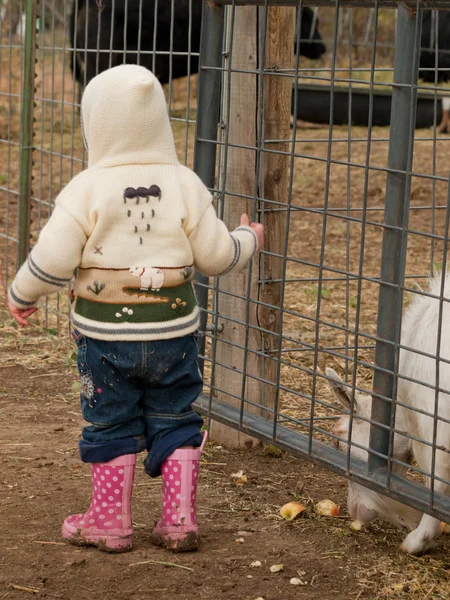Kleinkind auf dem Bauernhof — Stockfoto