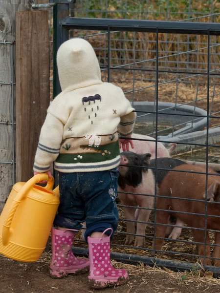 Criança na fazenda — Fotografia de Stock