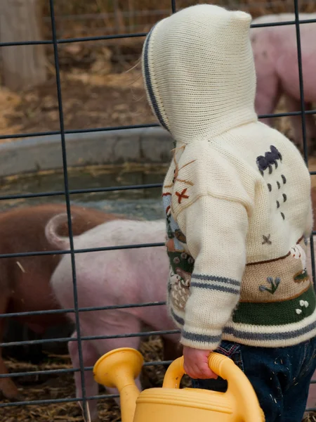 Toddler on the Farm — Stock Photo, Image