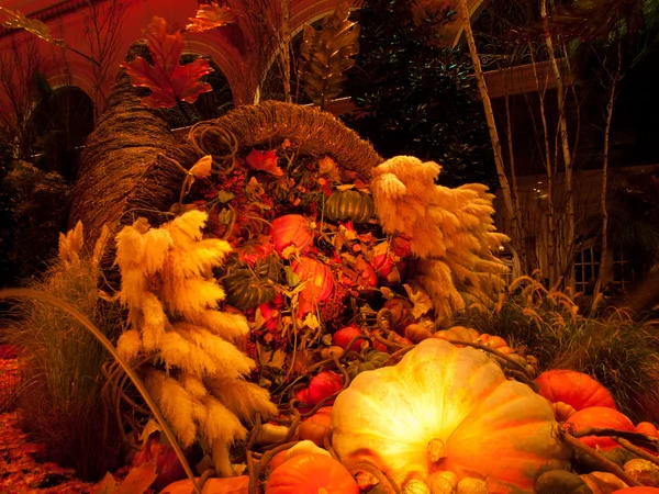 Autumn Exhibition — Stock Photo, Image