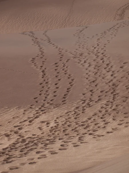 Grandi dune di sabbia — Foto Stock
