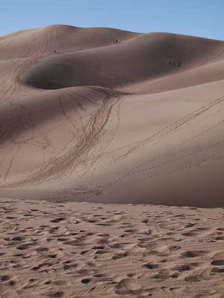Grandes dunas de arena — Foto de Stock