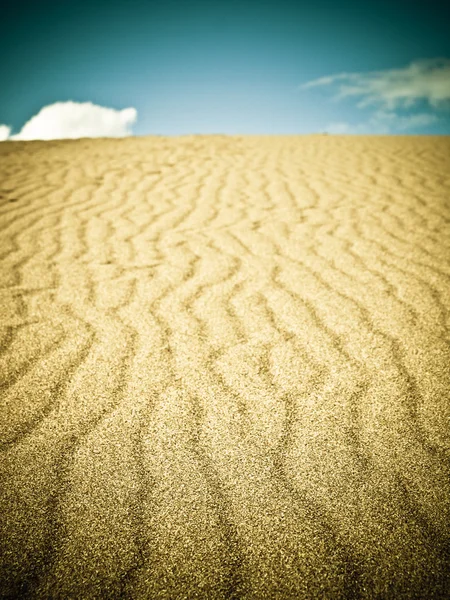 大沙丘 — 图库照片