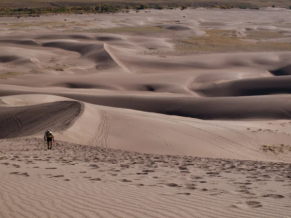 stock image Great Sand Dunes