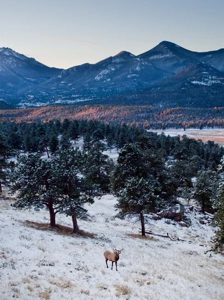 Rocky Mountain National Park — Stock Photo, Image