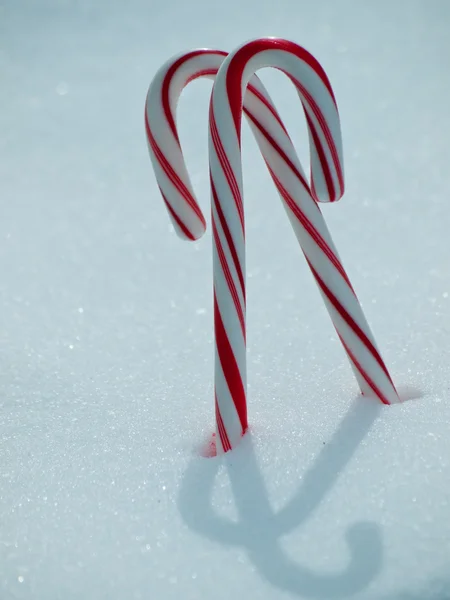 stock image Candy Cane